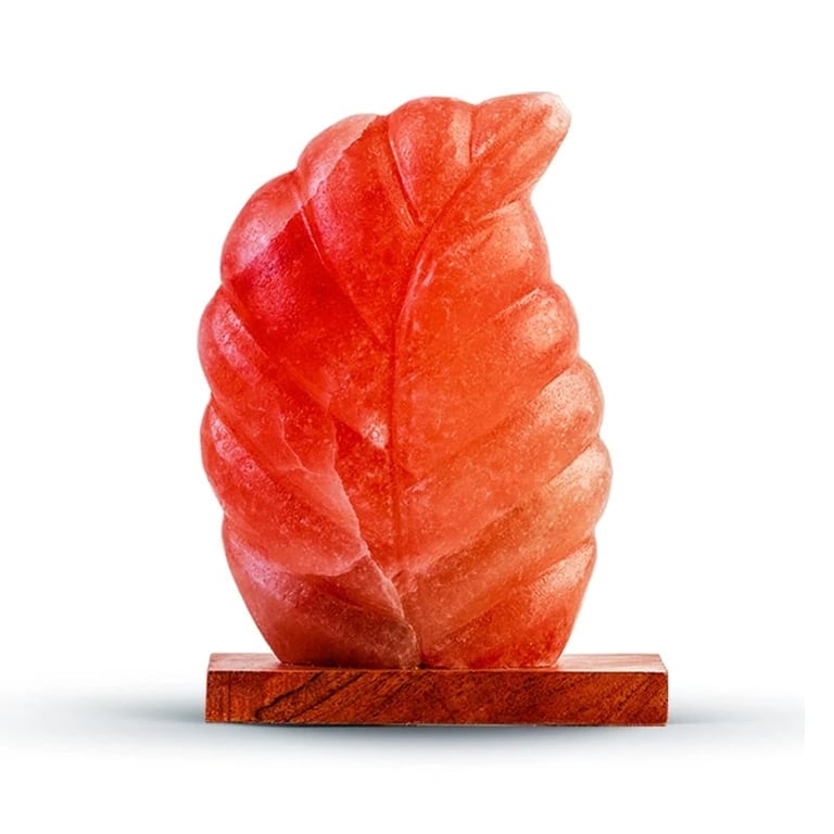 Red coral leaf-shaped sculpture on wooden base, abstract art piece with natural mineral texture